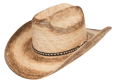 Puebla Palm Leaf Western Hat