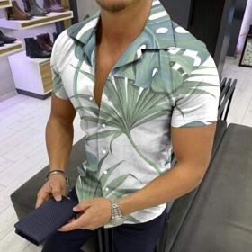 European and American New Men's Casual Shirts Short Sleeve 3D Digital Printing Hawaiian Style Shirts (Color: As Shown, size: L)